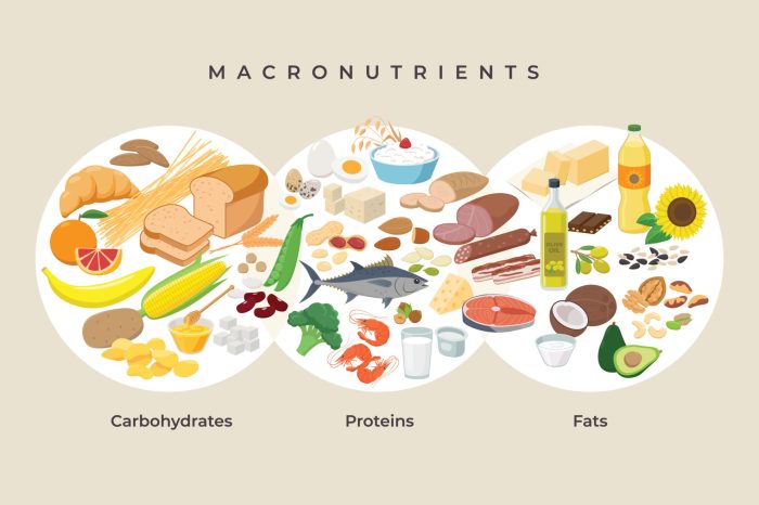 How to balance carbs, fats, and proteins in a diet for athletes