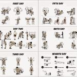 How to design a fitness plan for muscle building