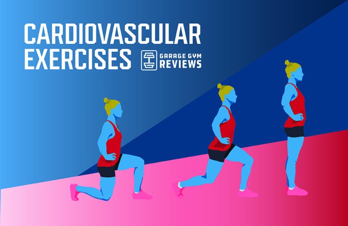 How to prevent cardiovascular disease with cardio exercises